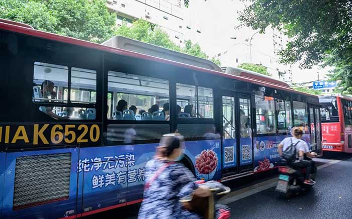 北極蝦成都公交車廣告05