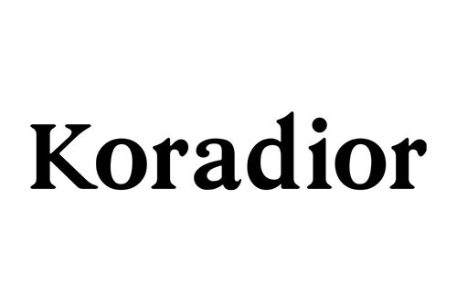 koradior--深圳機(jī)場廣告投放案例